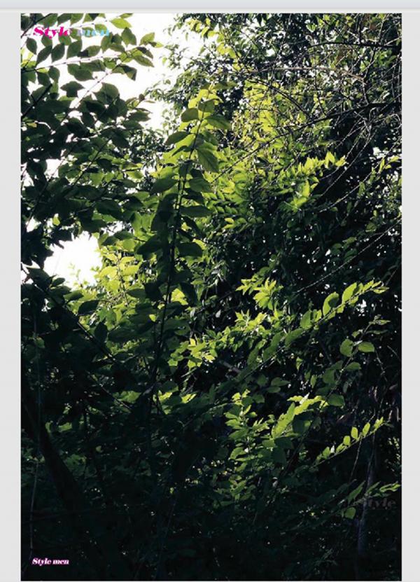 PHOTO-SET-STYLE-MEN-X-21